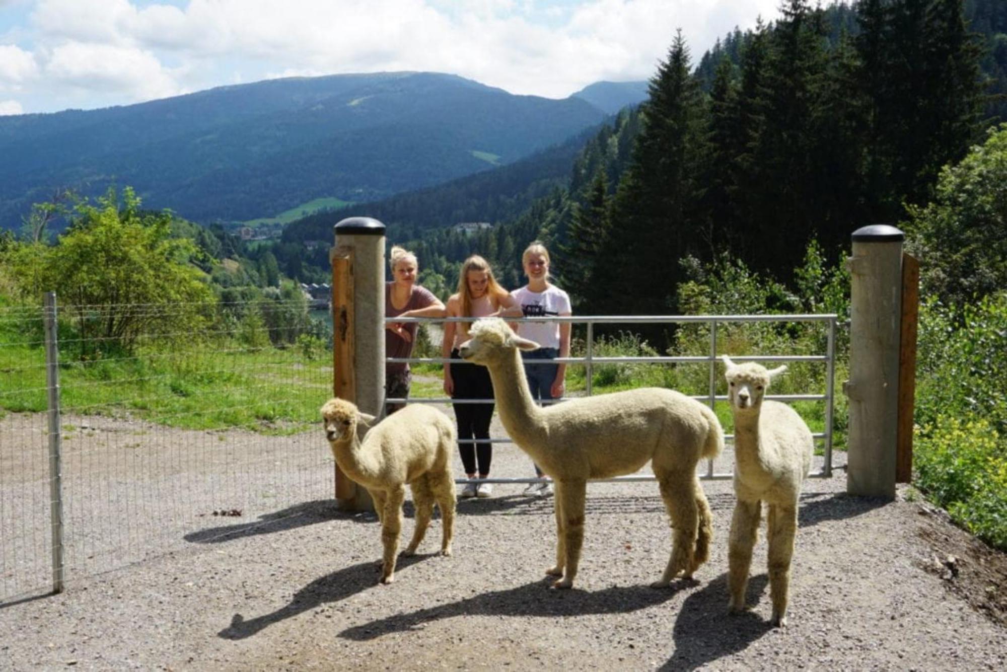 Vitalhof Am Kreischberg By Alps Resorts Bodendorf  Esterno foto